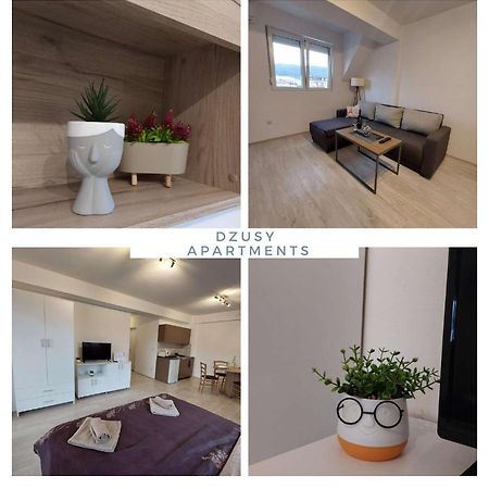 Dzusy Apartments Οχρίδα Εξωτερικό φωτογραφία