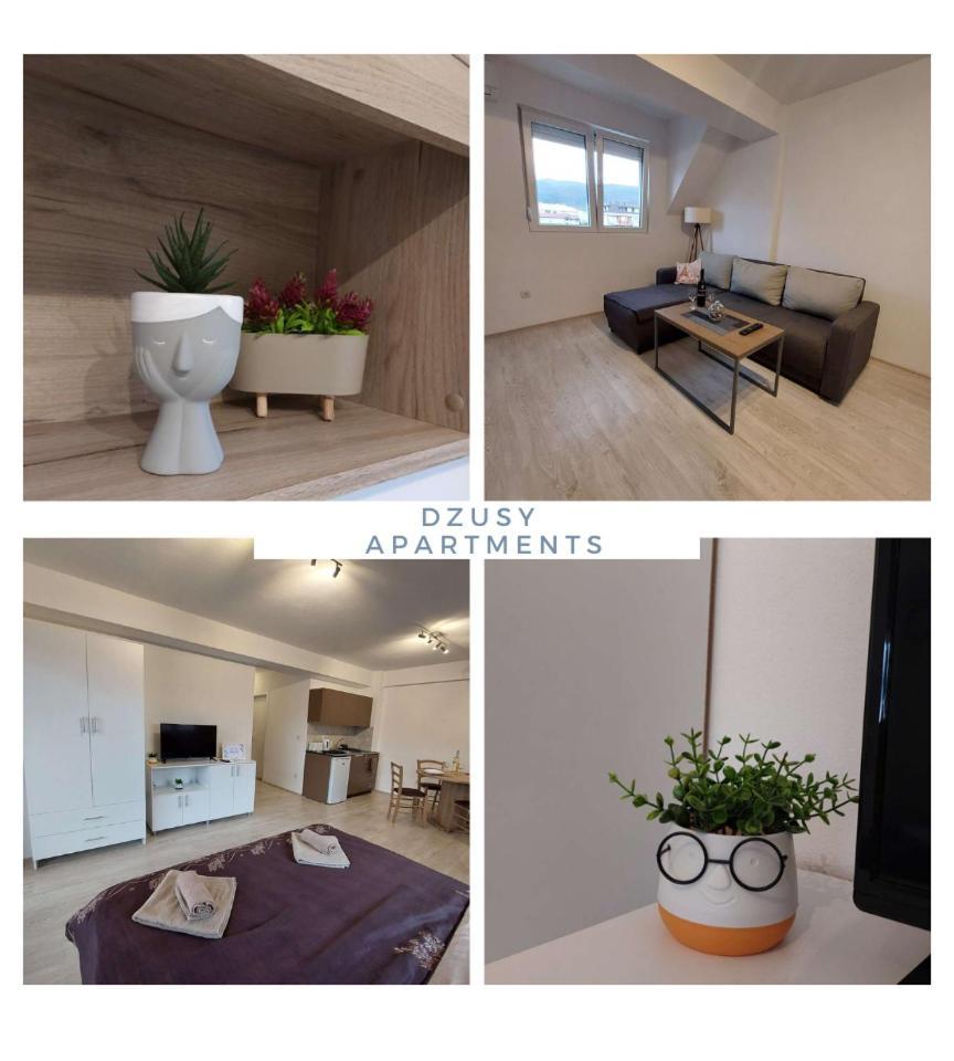 Dzusy Apartments Οχρίδα Εξωτερικό φωτογραφία